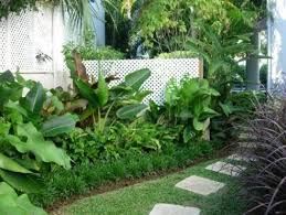Tropical Landscape Design Ideas Pictures Remodel And Decor Tropical Landscaping Tropical Landscape Design Backyard Garden