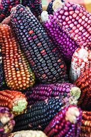 Inicio Food And Travel Photo Alimentaire Couleurs Mexicaines Photo Fruit
