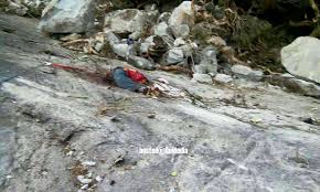 Gempa bumi berukuran 5.9 pada skala richter yang berpusat di ranau menggegarkan negeri sabah yang dikenali sebagai negeri dibawa bayu. Gempa Bumi Gunung Kinabalu Mengejutkan Penampakan Wajah Misteri Dirakam Di Permukaan Gelombang Seismik Terjadi Akibat Pelepasan Energi Karena Ledakan Gunung Berapi Atau Pergeseran Lempeng Salawase