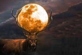Full moon in aquarius, 23/24th july 2021 at 1 degree.the path to freedom. Abvw Ox00bodpm