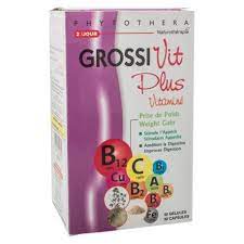 Bcaa enrichie en vitamine b6 1000 mg 90 gélules acides aminés en comprimés. Grossivit Vitamine Gelules