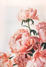 Pin By Avrilmartinez On Isp In 2021 Flower Drawing Flower Art Flower Painting