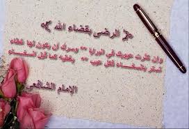 pin on arabic poetry