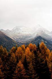 500 Autumn Images Download Free Images On Unsplash Autumn Landscape Landscape Photography Nature Landscape