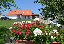 This superbly located 73 sqm property is for sale in budapest's xi. Holiday Houses Apartments At Lake Balaton Hungary Tuivillas Com