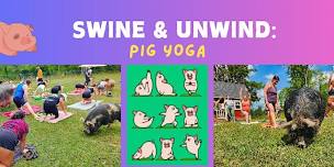 Swine & Unwind: Pig Yoga
