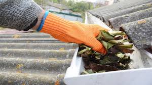 How to Clean and Maintain Roof Gutters for Proper Drainage - Gold Coast  Plumbing Experts