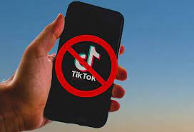 Ad oggi tiktok risulta essere la terza applicazione più scaricata, dietro solo whatsapp e messenger, ma davanti a facebook ed instagram. Tiktok Archivi Datamagazine It