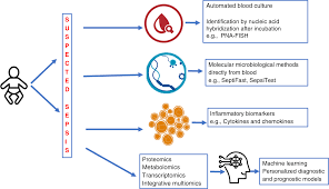 Image result for Neonatal Sepsis