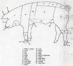 With a pair of scissors cut deeply into both corners of the mouth (see figure 2, pkt p. Parts Of A Pig Diagram Quizlet