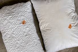 We did not find results for: How To Wash Bed Pillows Reviews By Wirecutter