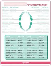 Keeping Track Of Your Babys Teeth Tooth Chart Baby