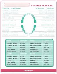 keeping track of your babys teeth tooth chart baby