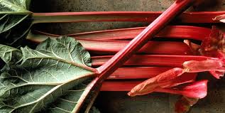 Wild rhubarb may refer to several different plants: How To Grow The Most Pie Worthy Rhubarb Ever
