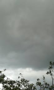 All The Leaves Are Brown And The Sky Is Grey Cloudy Sky Clouds Rain Rainy Storm Trees Leaves Grey Grey Clouds Sky Aesthetic Sky And Clouds Rainy Sky