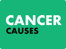 You might also see small blood vessels. Global Cancer Observatory