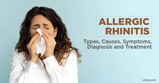 Image result for Allergic Rhinitis