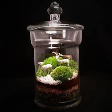Custom Dinosaur Terrarium For Jacqueline Etsy Organic Pesticide Brown Thumb Terrarium Centerpiece