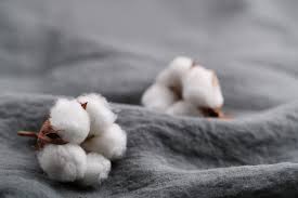Our bedroom maid and housekeeper service will provide full dust cleaning of every area, including window sills and baseboards. The Clean Bedroom Linkedin