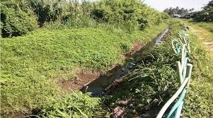 Hotshot lawyer tan sri dr muhammad shafee abdullah has offered to be the defence lawyer for sam ke ting, who was jailed for reckless driving . Lfhsu3fqo9ampm