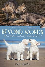Beyond Words What Wolves And Dogs Think And Feel A Young Reader S Adaptation English Edition Ebook Safina Carl Safina Carl Amazon De Kindle Shop After the mission was completed, he was taken home with superboy and the rest of the team.