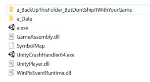 Unity Manual Windows Player Il2cpp Build Files
