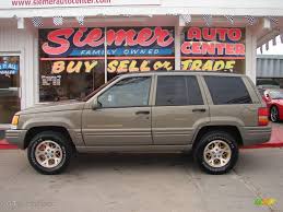 Image result for Chargold Satin Glow 1995 Chrysler