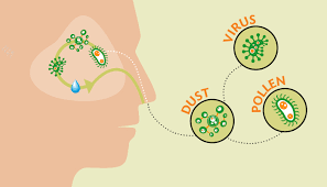 Simak di sini untuk mengetahui arti tahi setiap orang memiliki letak tahi lalat yang berbeda di setiap bagian tubuhnya. Kenapa Kita Ada Tahi Hidung Iluminasi