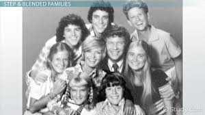 Family Challenges Divorce Blended Families Family Violence Video Lesson Transcript Study Com