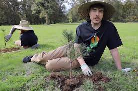 Youtube With Mrbeast Aim To Plant 20 Million Trees Mr Beast Youtube Social Media Resources