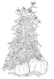 Cornstalk And Pumpkin Harvest Coloring Page For This Autumn And Thanksgiving Free Printable Colorin Coloring Pages Farm Coloring Pages Giraffe Coloring Pages