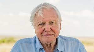 David attenborough series of of nature and wild life. Sir David Attenborough Answers Dinosaur Query From Otis 4 Bbc News