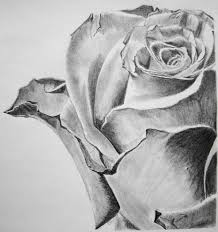 Pencil Art Of Rose By Joy Cheers On Deviantart Rose Art Painting Pencil Drawings Pencil Drawings Of Flowers