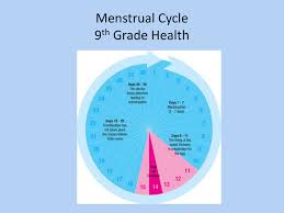 8th grade and continue lessons throughout high school. Menstrual Cycle 8th Grade Health