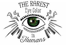 Rarest Eye Color In Humans Rare Eye Colors Eye Color Chart Eye Color Chart Genetics