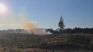 Maybe you would like to learn more about one of these? B C Christmas Tree Farmer Believes Piece Of Glass Sparked Blaze That Torched Almost 1 000 Trees Globalnews Ca