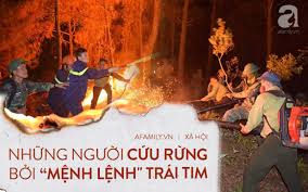 Nhà 48, ngõ 2 giảng võ, cát linh, đống đa, hà nội văn phòng đại diện miền nam: Cá»©u Chay Rá»«ng á»Ÿ Ha TÄ©nh Bá»Ÿi Má»‡nh Lá»‡nh Trai Tim