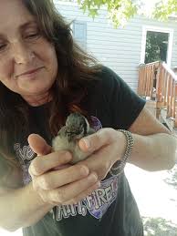 Lisa Muir (@lisa.muir.1848) • Facebook