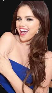 Selena Gomez (selenators ) Fans group