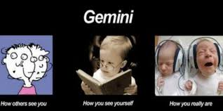 Funny gemini, s related keywords, s. Pin On Gemini