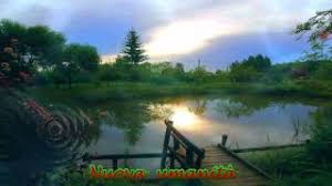 E' l'unico elemento nutritivo che il fisico introduce e trattiene see more of acqua: Acqua Siamo Noi Youtube