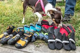 The very powerful combination of cbd and elk antler minerals set foxfire pet products apart from the pack. The Best Dog Boots Reviews By Wirecutter