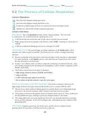 Electron transport chain cellular respiration summary. 9 2 The Process Of Cellular Respiration Worksheet Doc Name Jenna Abusad Class Date 9 2 The Process Of Cellular Respiration Lesson Objectives Course Hero