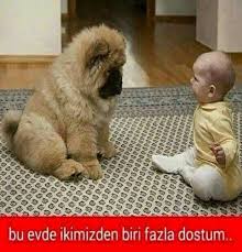 Bence Sen Komik Capsler Komik