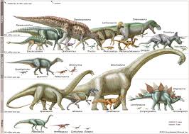 Humans evolved at the end of the cenozoic. Mesozoic Era Geochronology Britannica