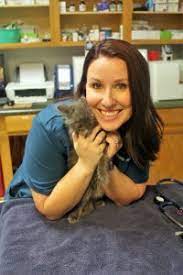 Butterfield animal hospital is proud to serve temecula and the surrounding cities. Veterinary Services Jacksonville Fl Alta Bluff Animal Hospital