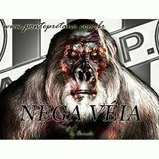 Check spelling or type a new query. Ponte Preta