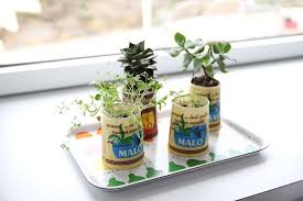 Deco 2 Idees Pour Vos Bords De Fenetre Nouvelle Cuisine Cuisine Fenetre