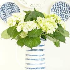 Drying hydrangea flowers will bring the outdoors into your home for use in dried flower arrangements. The Secrets To Long Lasting Cut Hydrangeas On Sutton Place