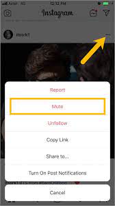 See full list on instafollowers.co How To Mute Accounts On Instagram 2019 For Iphone And Android